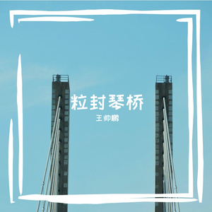 针插