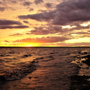 Black Flag Pirates of the Seas