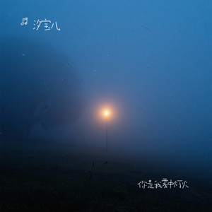 你是我雾中灯火