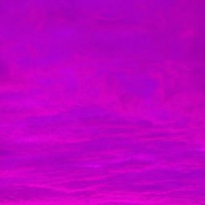 拥有（翻自 张婉清）