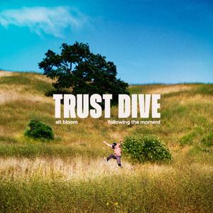 Trust Dive