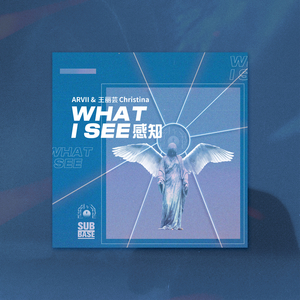 感知 What I See
