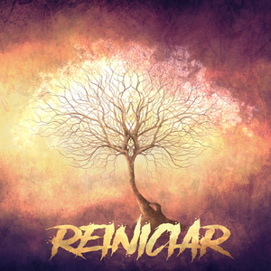 Reiniciar