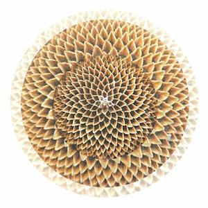 Inner Orbit (feat. haize)