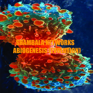 Evolution (3) (Original Mix)