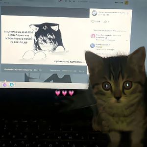 秋叶