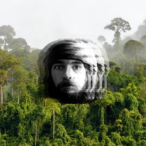 Canopy Callin