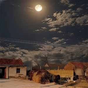 你可以回来， 但这里已经没有人了