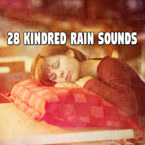 铺天盖地的风暴