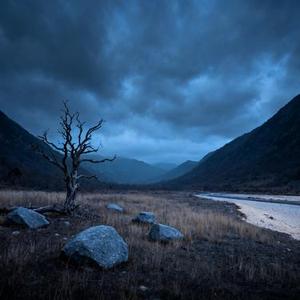 探故知 (Cover 浅影阿 & 汐音社)