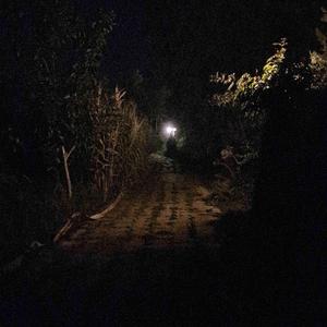 Alone (feat. V1OLET)