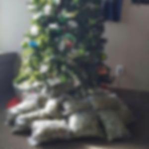 zooted (feat. wybie)