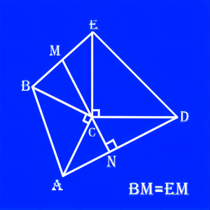 数学综合症junior