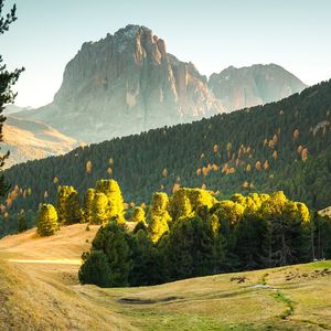 你亦是温柔本身--