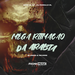 Mega Ritmação da Arabia (Slowed & Reverb)