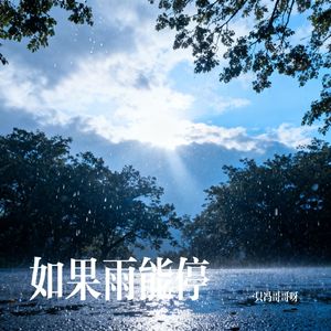 如果雨能停