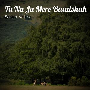 Tu Na Ja Mere Baadshah