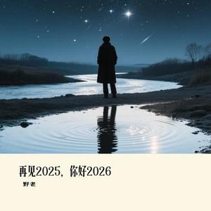 再见2025，你好2026