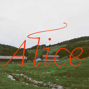 Alice