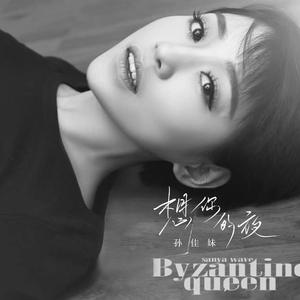 想你的夜 (和声伴奏)