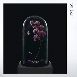 わからないんだ