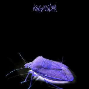 Il guardiano della palude