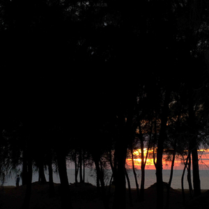 Till We Fall in Love