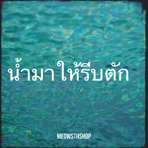 น้ำมาให้รีบตัก