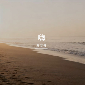 嗨