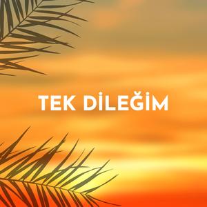 Tek dileğim