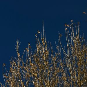 我说了不该说的话但是很幸运今天是愚人节