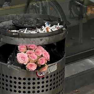 微波炉里的爱情