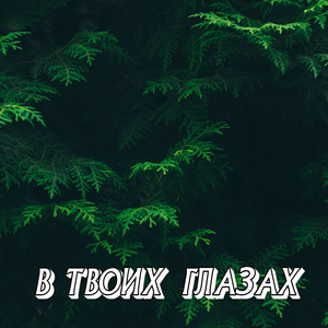 В ТВОИХ ГЛАЗАХ