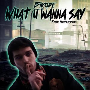 What u Wanna Say