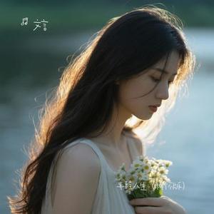 半程人生