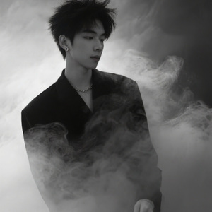 我爱你但我要回家