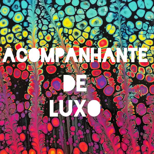 ACOMPANHANTE DE LUXO