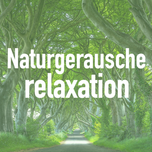 Achtsamkeitstraining