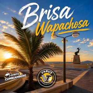 Brisa Wapachosa