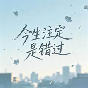 今生注定是错过