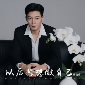 以后只想做自己 伴奏