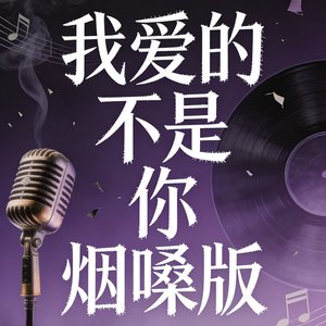 我爱的不是你烟嗓版.mp3