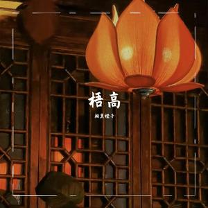 一荤一素（Cover：毛不易）