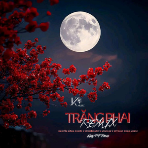 Trăng Phai (Huy PT Remix)