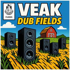 Dub Fields