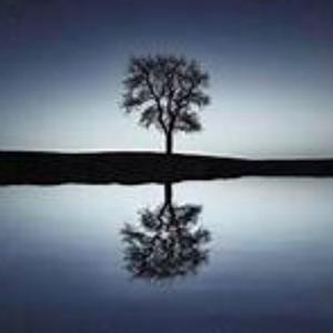 I Won't Let You Down