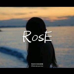 马頔-南山南（RosE remix）