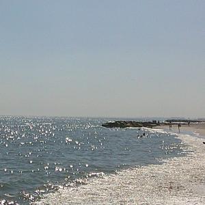 WHY NOT (feat. ThaMonster)