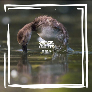 成都（cover赵雷）（翻自 赵雷）