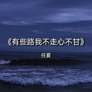 有些路我不走心不甘